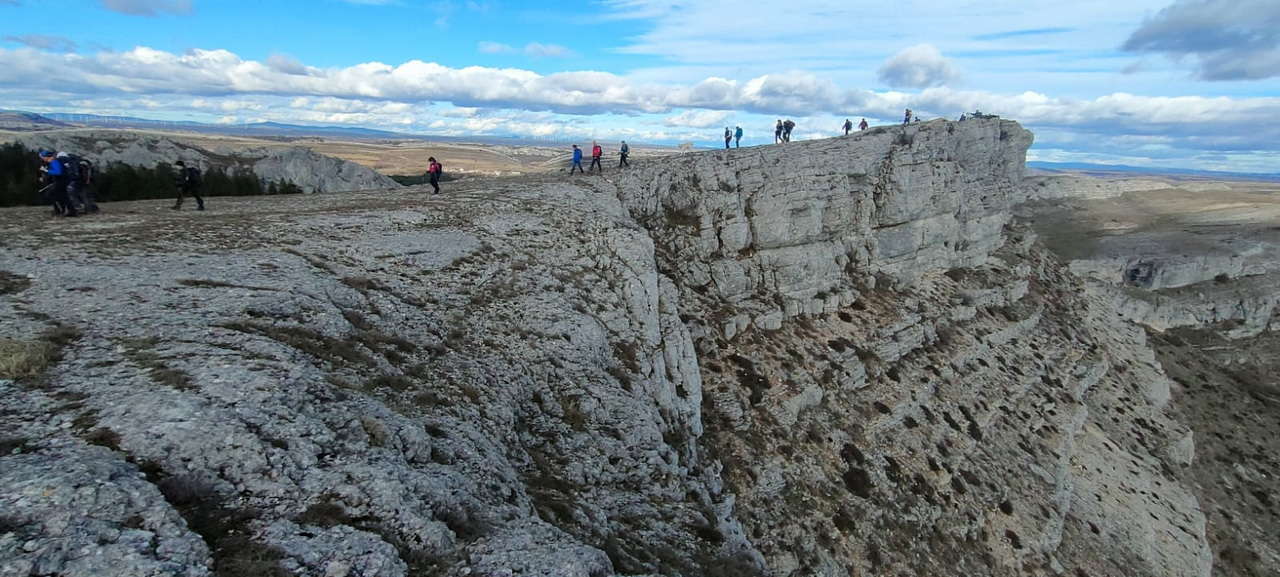 WhatsApp Image 2026-02-10 at 14.47.49